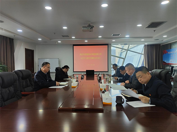 水情形公司召开党史学习教育专题民主生涯会.jpg