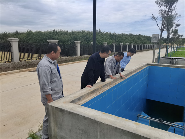 郝军亮一行实地观察厂区.jpg
