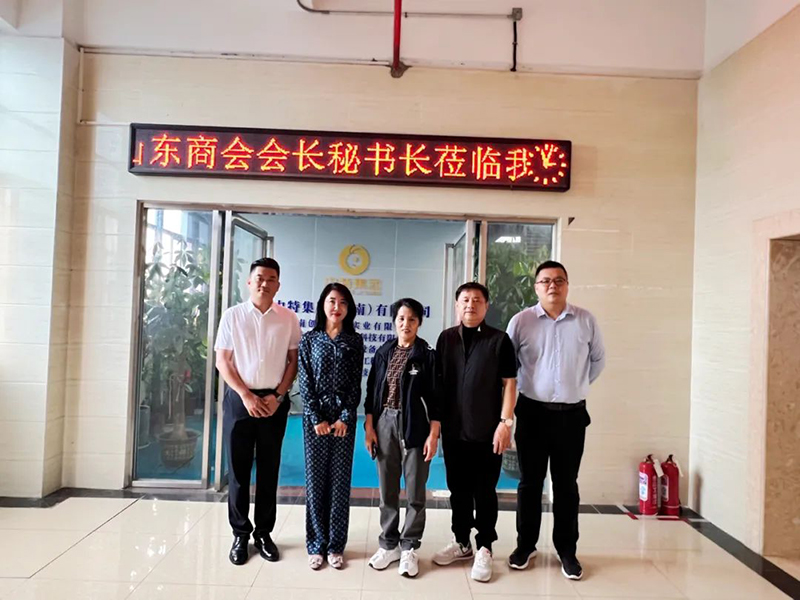 20231130145610104 20231130145610104